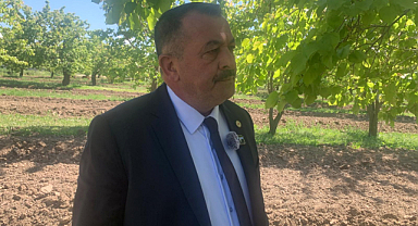 Iğdır’da Don Felaketi: Kayısı Üretimi Sıfırlandı, Çiftçiden Acil Destek Çağrısı