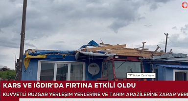 Iğdır’da Meyve Ağaçları Zarar Gördü