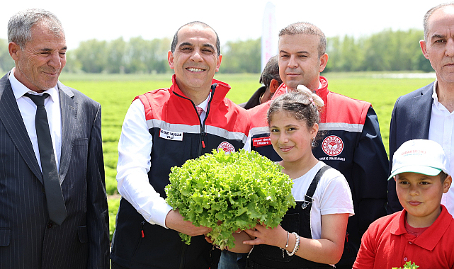 Iğdır'da Yılın İlk Marul Hasadı Yapıldı