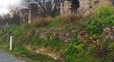 Koca köyü 1 -2 Euro ödeye ödeye satın aldı: 'Aşık oldum' dedi