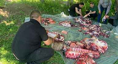 Kurban Bayramı’nda Iğdır’da Kurbanlık Piyasası Hareketlendi