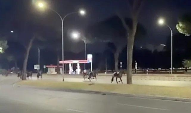 Roma'da gece yarısı at paniği: Cumhuriyet Bayramı hazırlıklarında ortalık karıştı