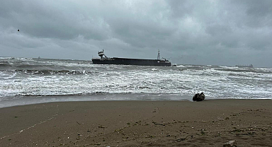 Sakarya'da kargo gemisi karaya oturdu