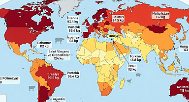 Sebzeyle doyanlar bile daha çok yiyormuş: 46 kiloluk kara tablo