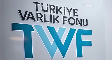 TVF'den Türkiye Sigortada uluslararası yatırımcılara pay arzı