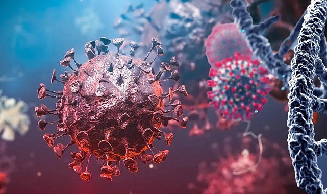 Uganda, ebola salgını nedeniyle Kongo Demokratik Cumhuriyeti sınırını kapattı!