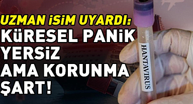 Uzman isimden 'hantavirüs' uyarısı: 'Küresel panik yersiz, bireysel korunma şart'