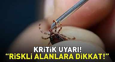 Aman dikkat! Uzman isimden kene uyarısı! 'Belirtiler 3. günden itibaren ortaya çıkabiliyor'