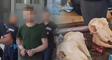 Avrupa'nın göbeğinde vahşet! 