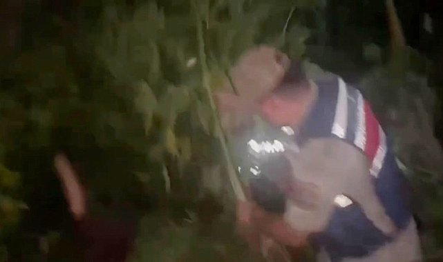 Hatay'da uyuşturucu operasyonu! 148 kök Hint keneviri ele geçirildi
