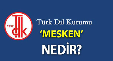 Mesken Ne Demek? Tdk'ya Göre Mesken Kelime Anlamı Nedir, Nereye Denir?