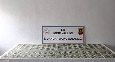 Iğdır’da Dev Sahte Dolar Operasyonu: Piyasaya Sahte Dolar Sürmeye Çalışan Şüpheli Yakalandı