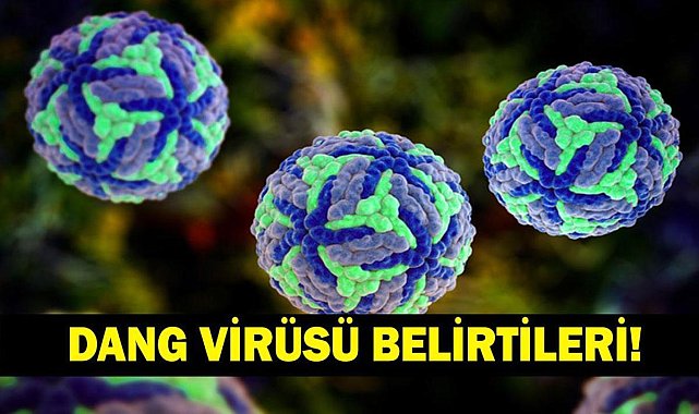 DANG VİRÜSÜ NEDİR, ÖLÜMCÜL MÜ? Dang virüsü Belirtileri Neler, Nasıl Bulaşır? Serdar Akinan'dan Dang Virüsü Açıklaması!